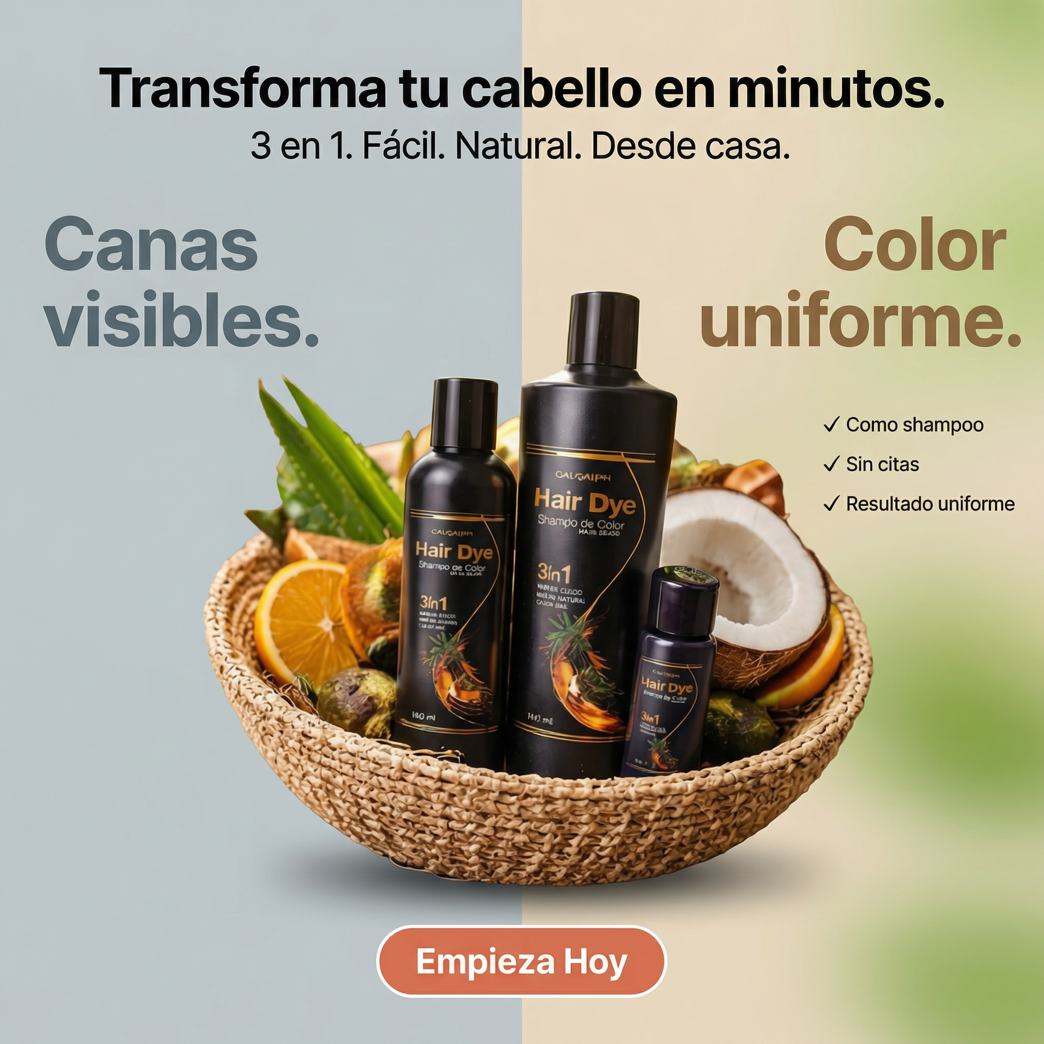 Shampoo Cubre canas "Hair Dye" Multicolor